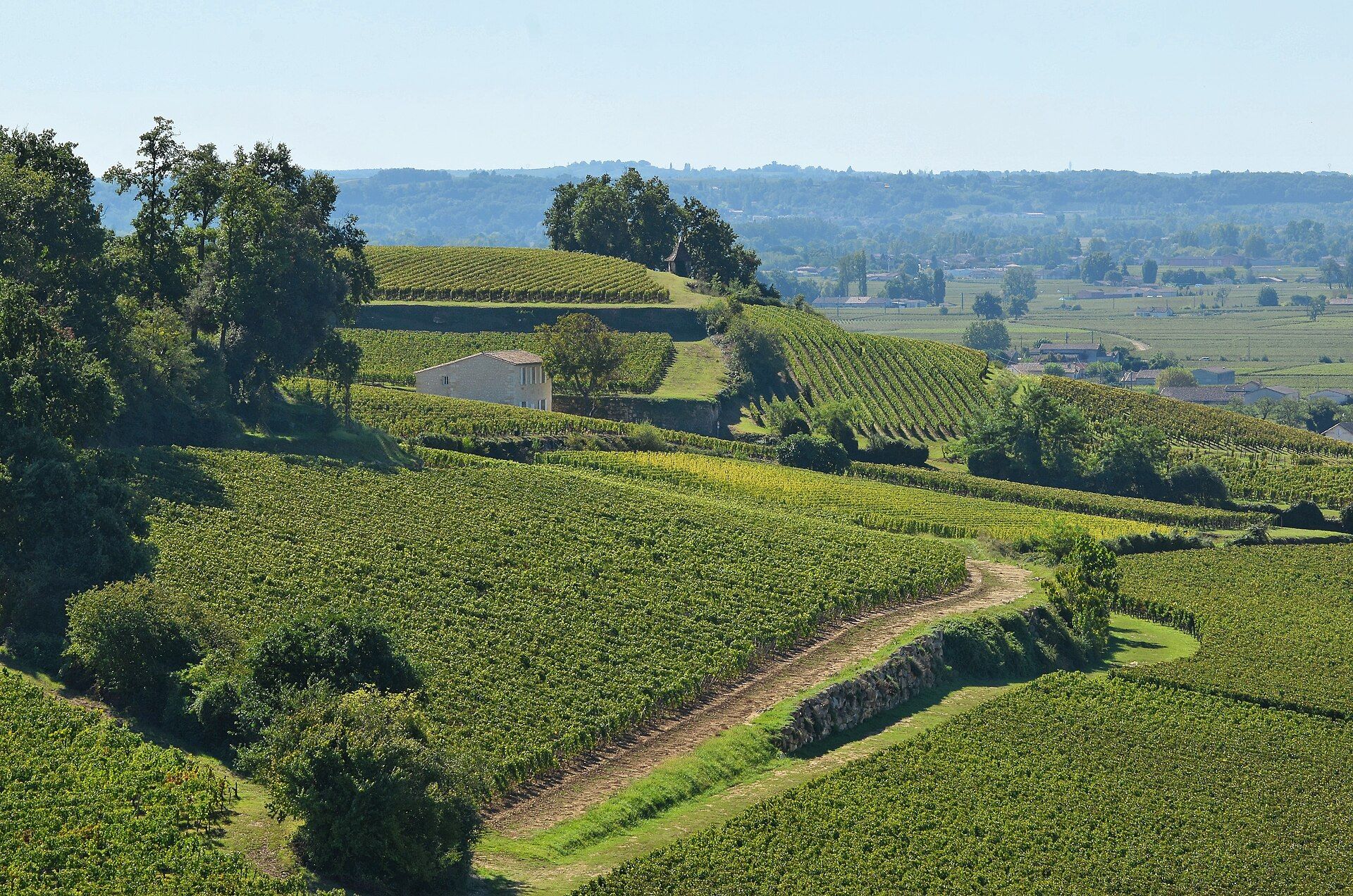 Vignobles autour de Saint-Émilion