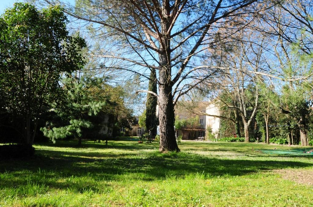 Le jardin aux arbres centenaires de l'Orangerie de Cardet, dans le Gard