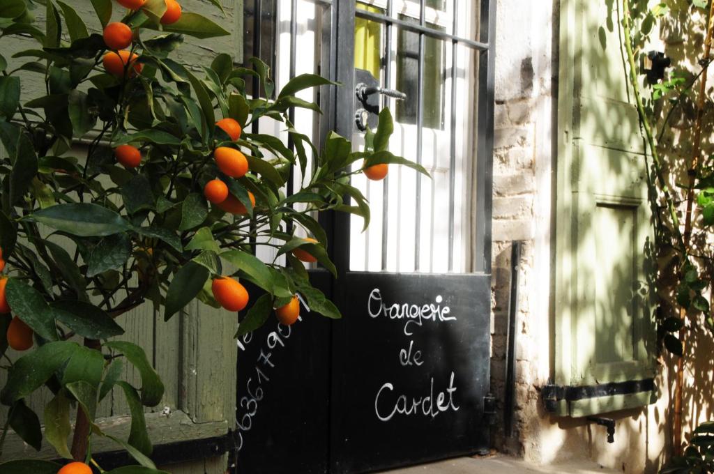L'enseigne de l'Orangerie de Cardet et ses agrumes en pot