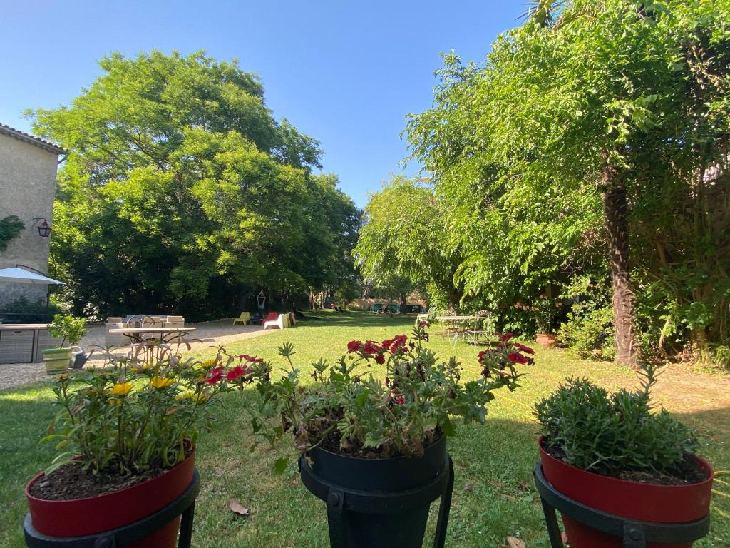 Le jardin arboré de l'Orangerie de Cardet, dans le Gard
