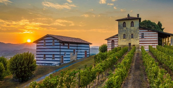 cantina-berlucchi-con-vigneti.jpg