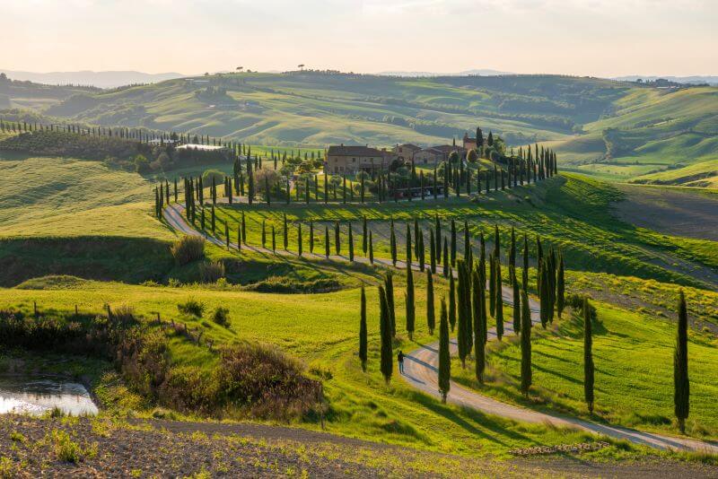 chianti13.jpg