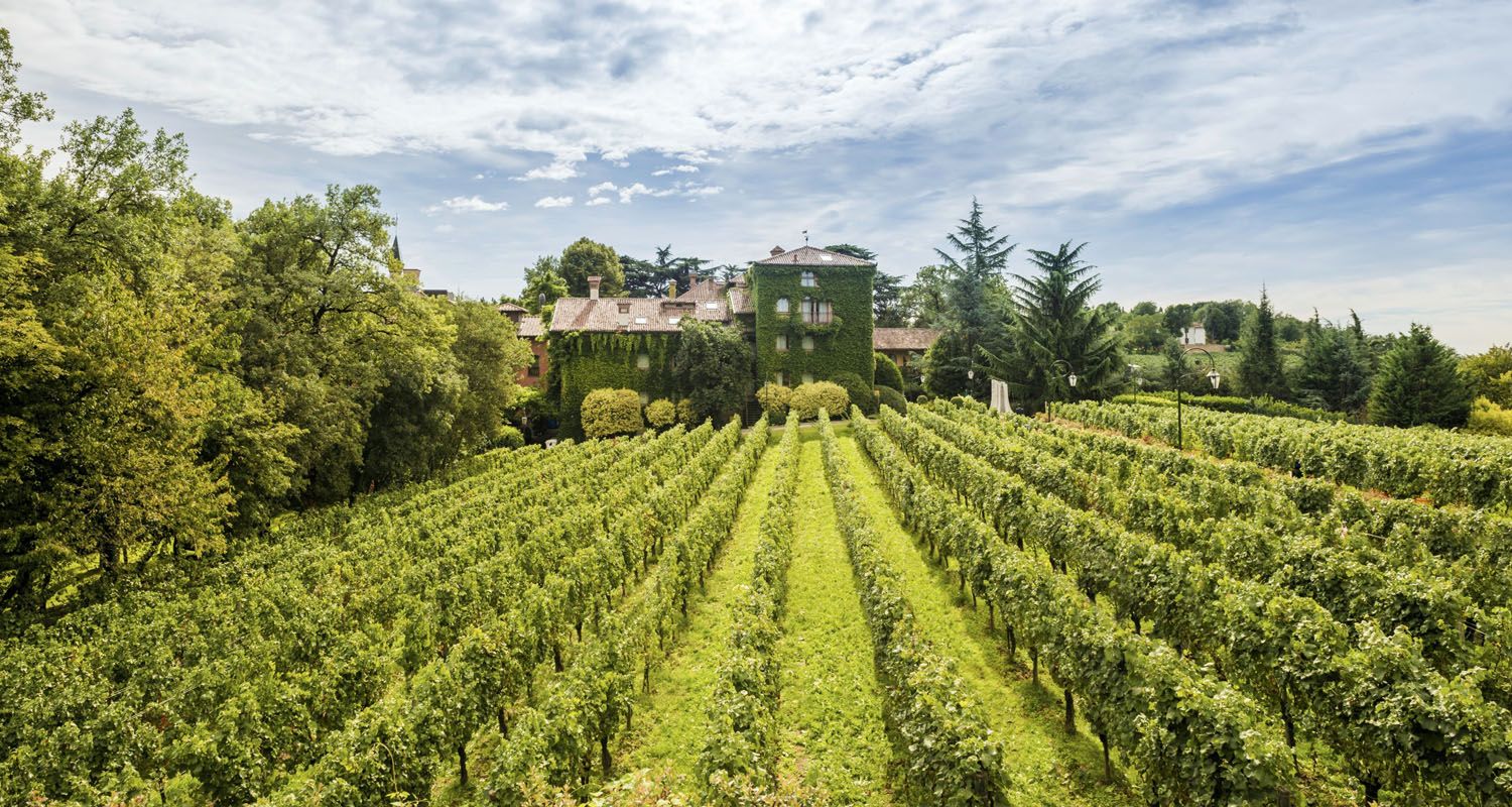 Il parco secolare dell'Albereta tra le colline vitate della Franciacorta