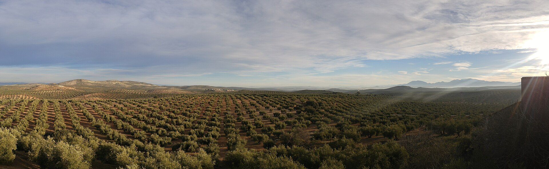 Olivares de Jaén