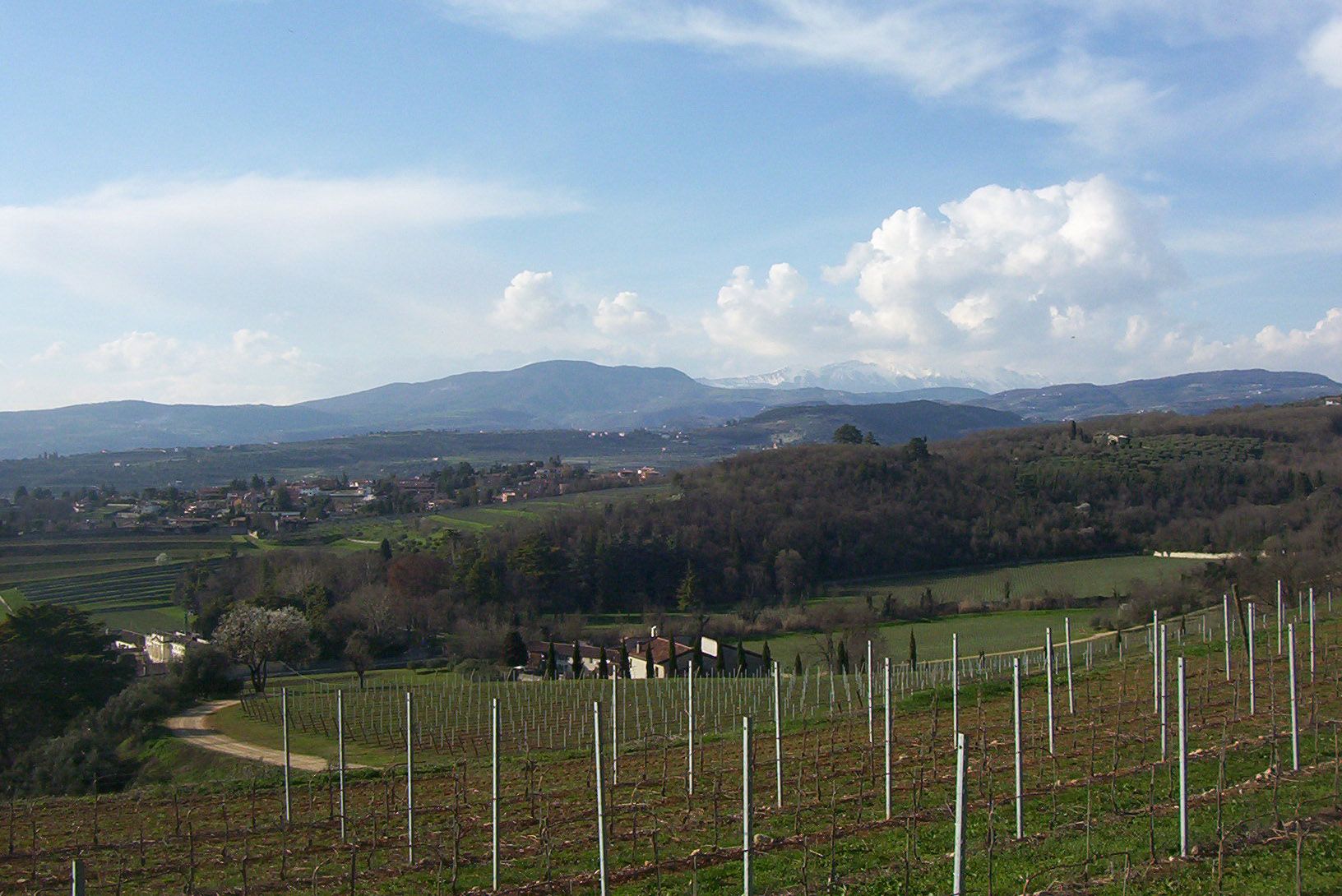 Vigneti e colline della Valpolicella